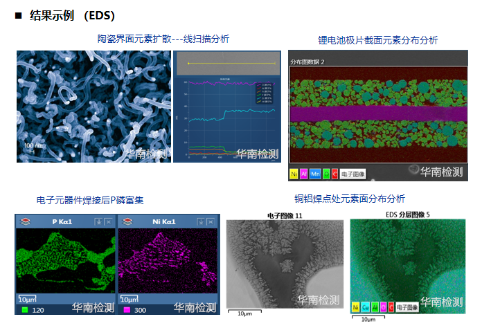 SEM-EDS分析