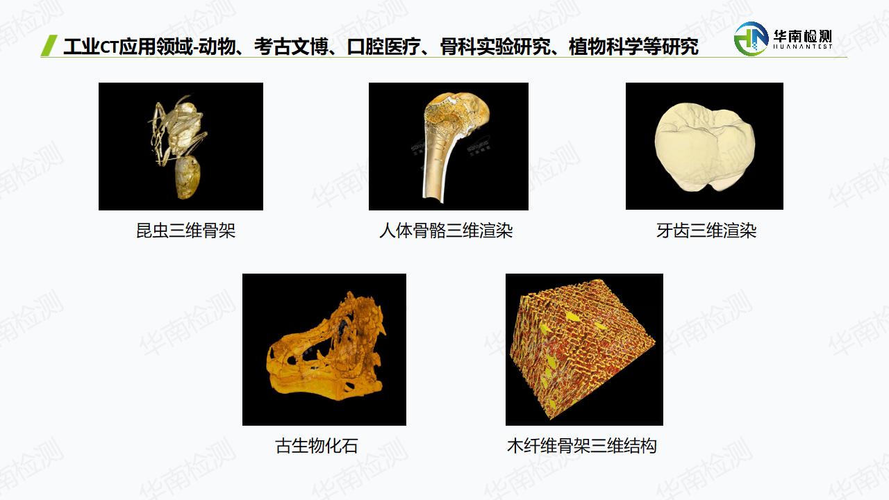 工业CT扫描