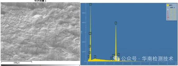 电机蜗杆断裂失效分析-EDS分析