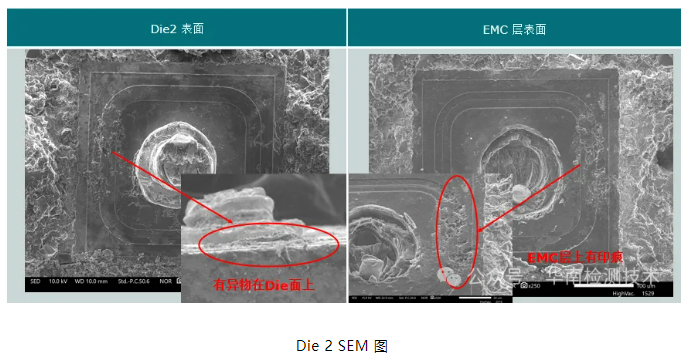 银枝生长导致短路失效分析