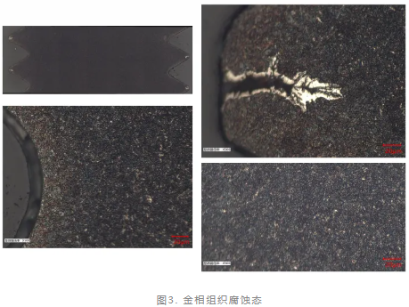 断裂螺钉失效分析.png