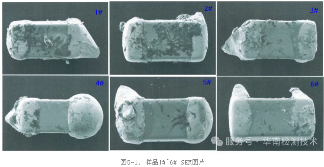 电容SEM分析 电容SEM分析
