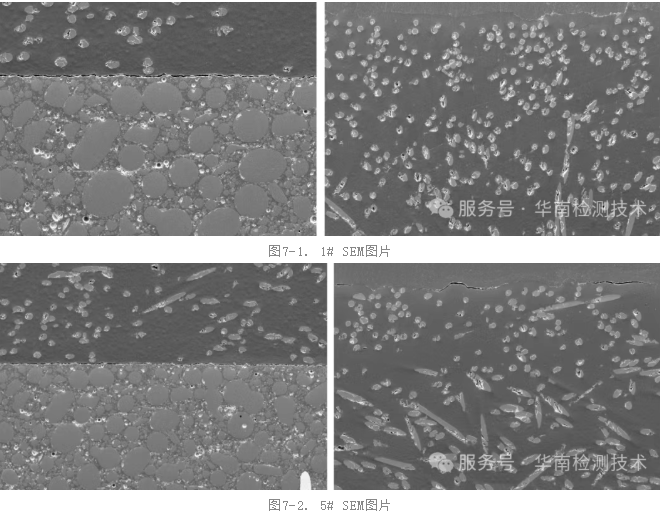霍尔元件失效分析-SEM检测