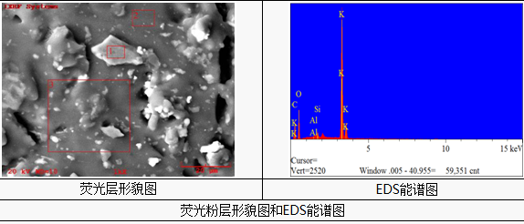 LED光衰失效分析-SEM+EDS分析