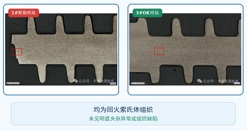 电机蜗杆断裂失效分析