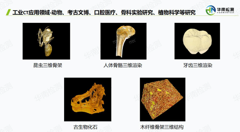 工业CT扫描科研教育领域