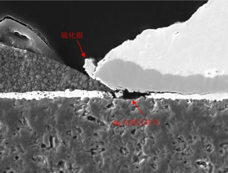 断面SEM图像 断面SEM图像