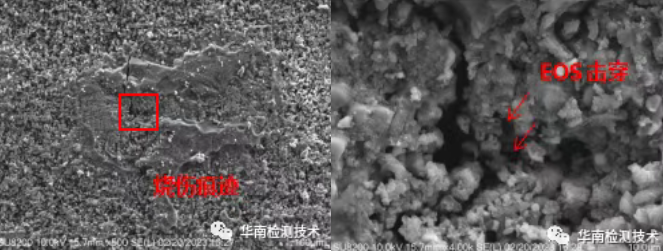 电容失效分析SEM微观分析