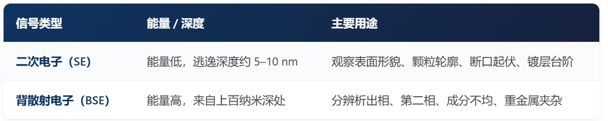 SEM、TEM、EDS、EBSD分别看什么