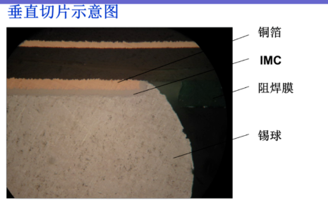 焊点切片分析